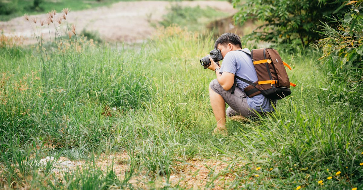 découvrez les avis de voyage essentiels pour garantir votre sécurité et votre confort lors de vos déplacements. restez informé des risques et des conseils pratiques pour explorer le monde en toute sérénité.