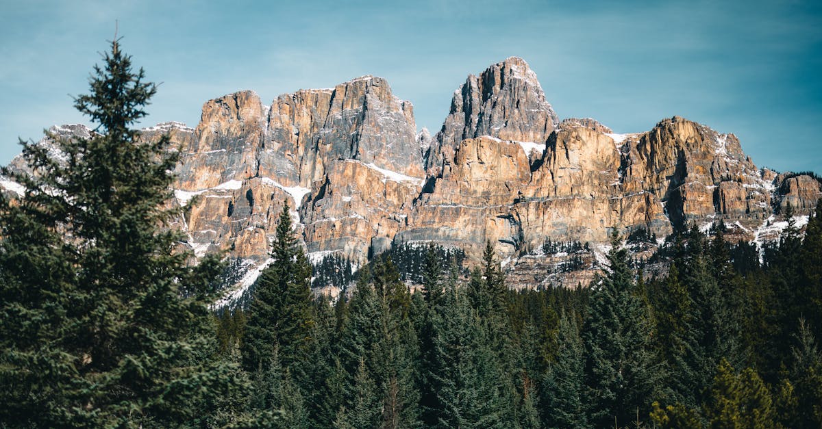 découvrez tout ce qu'il faut savoir sur l'autorisation de voyage : procédures, exigences et conseils pratiques pour préparer votre aventure en toute sérénité.