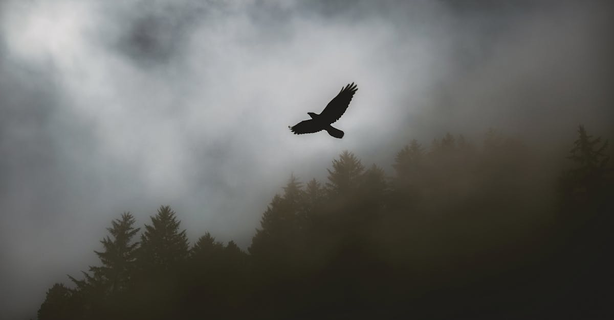 découvrez l'excitation de l'inconnu avec nos voyages mystères ! partez à l'aventure sans savoir votre destination et laissez-vous surprendre par des lieux fascinants et des expériences inoubliables. préparez-vous à explorer le monde d'une manière totalement nouvelle !