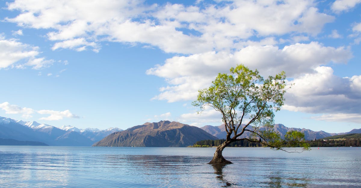 découvrez la nouvelle-zélande, un paradis naturel aux paysages époustouflants, entre montagnes majestueuses, plages idylliques et cultures fascinantes. explorez les merveilles de ce pays insulaire, de la vibrante wellington à l'envoûtante queenstown, et laissez-vous séduire par l'accueil chaleureux de ses habitants.