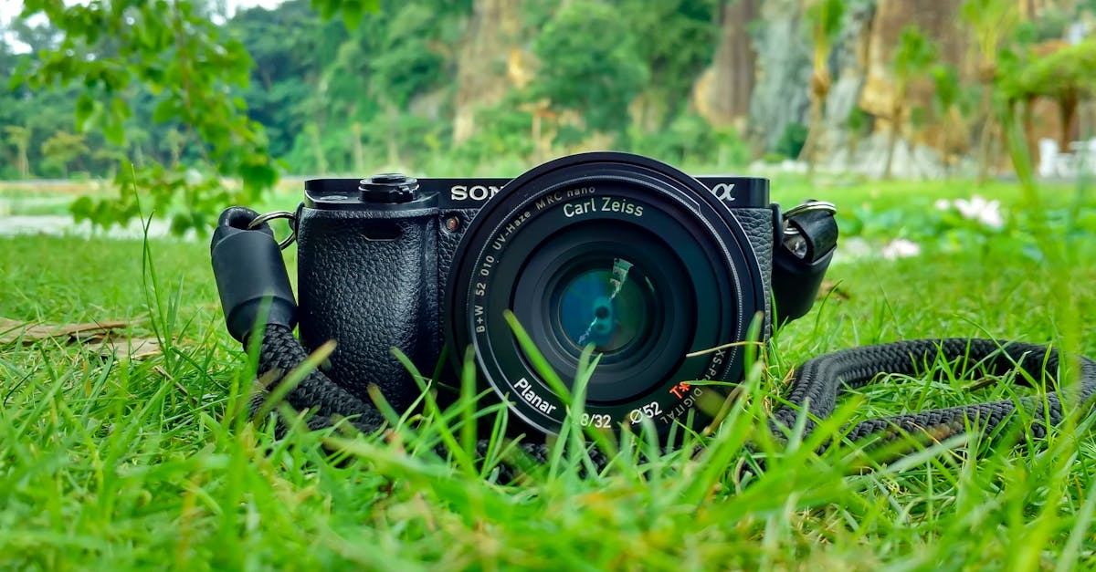 découvrez l'art de la photographie à travers des conseils, des techniques et des inspirations pour capturer des moments inoubliables. explorez notre contenu pour améliorer vos compétences et développer votre créativité en photographie.