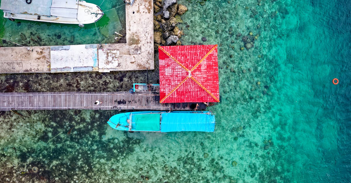 découvrez le tourisme durable : une aventure qui respecte l'environnement et les cultures locales. explorez des destinations authentiques tout en contribuant à la préservation de notre planète.