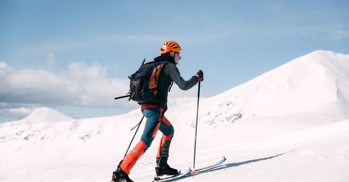 découvrez les dernières tendances du voyage et explorez des destinations fascinantes à travel expo, l'événement incontournable pour les passionnés d'aventure et de découvertes. rencontrez des experts du secteur, participez à des ateliers inspirants et trouvez votre prochaine escapade.
