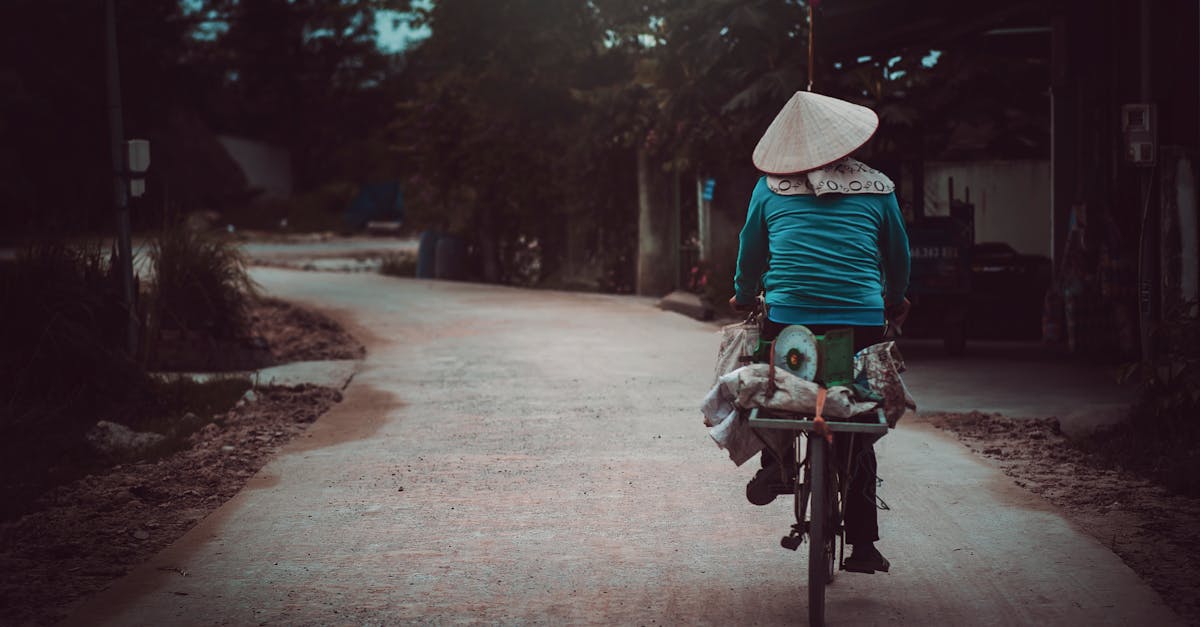 découvrez le vietnam, un pays riche en culture et en paysages époustouflants. explorez ses rizières en terrasses, ses villes historiques et sa délicieuse cuisine. partez à l'aventure au cœur de cette destination unique et vivez une expérience inoubliable.