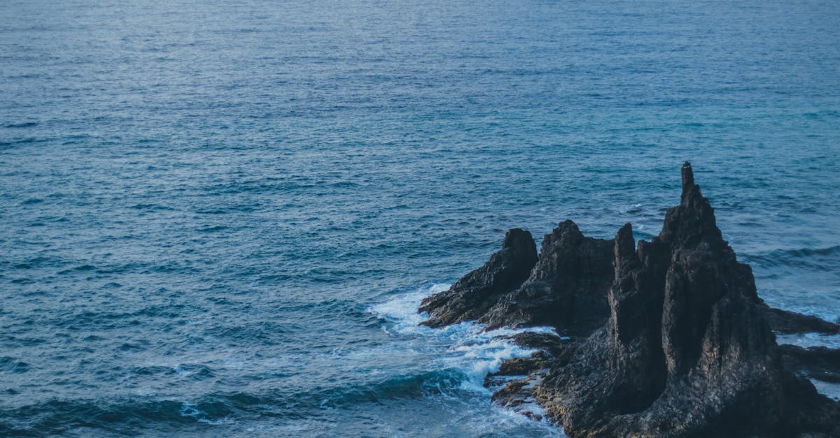 découvrez tenerife, l'île enchanteresse des canaries, réputée pour ses plages dorées, ses paysages volcaniques spectaculaires et son climat agréable toute l'année. explorez ses parcs nationaux, savourez une cuisine locale délicieuse et plongez dans une culture riche et vibrante. votre évasion parfaite vous attend à tenerife.