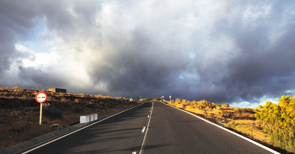 découvrez tenerife, la plus grande des îles canaries, réputée pour ses paysages volcaniques époustouflants, ses plages dorées et son climat agréable toute l'année. explorez des parcs naturels, savourez la cuisine locale et plongez dans des activités passionnantes sur cette destination de rêve.