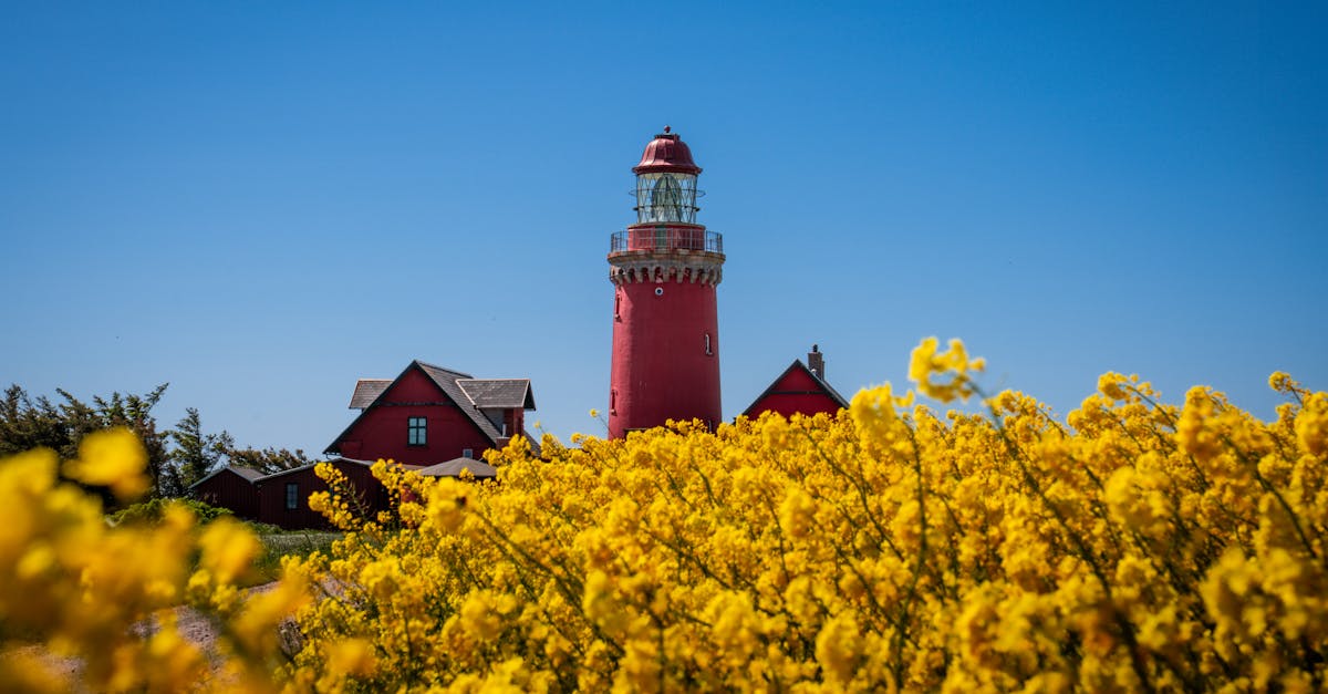 découvrez des offres de voyage exceptionnelles pour vos prochaines aventures. bénéficiez de réductions incroyables sur les vols, hôtels et circuits, et partez à la découverte de nouvelles destinations sans vous ruiner.