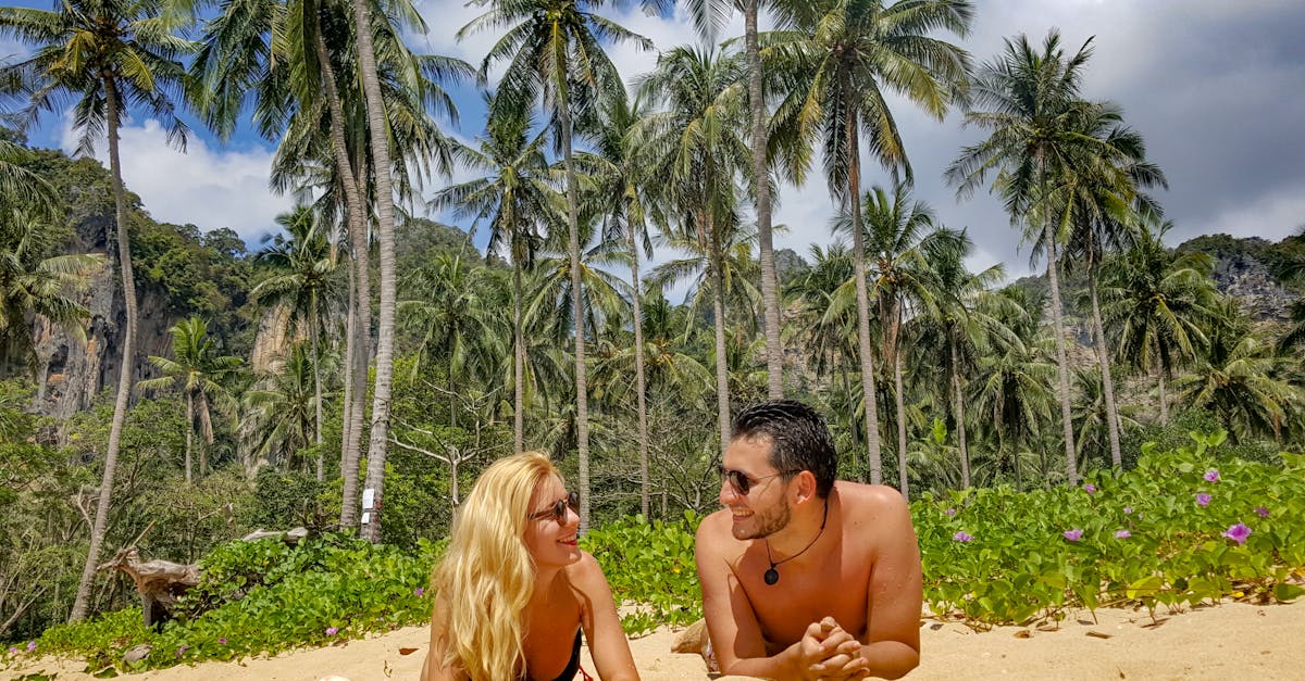 découvrez les incontournables pour les voyageurs, des astuces pratiques aux expériences uniques à travers le monde. préparez-vous à explorer des destinations fascinantes et à vivre des aventures mémorables.